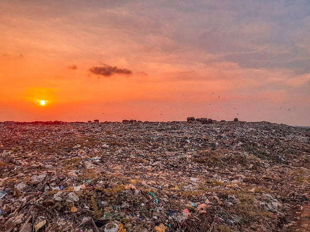 Vuilstort in Amersfoort