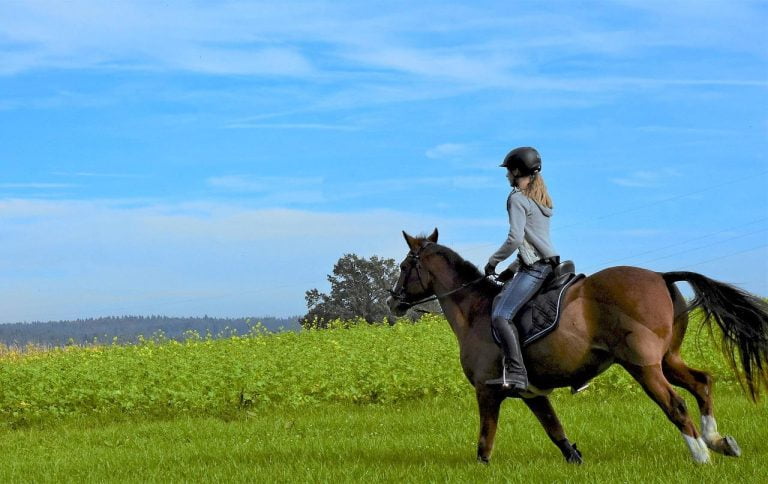 Vrouw rijdt op een paard in de weide in Amersfoort