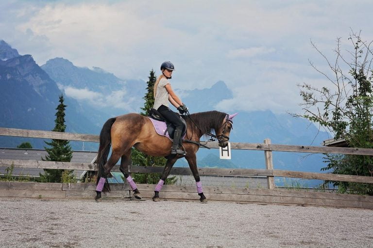 vrouw rijdt op een paard op de grond in Amersfoort