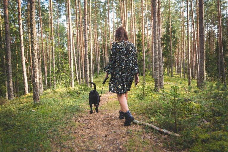 Wandelroutes in Amersfoort